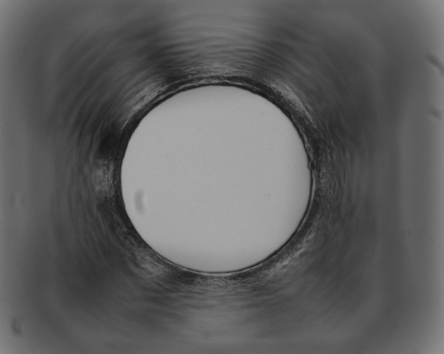 X0000092060873200710101032