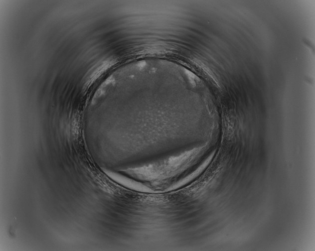 X0000092060874200710101032