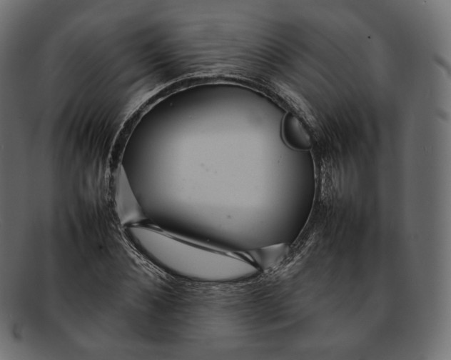 X0000092060876200710101032