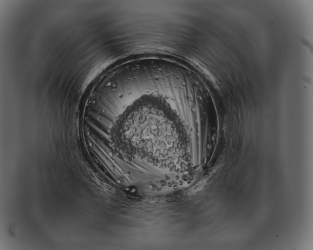 X0000092060877200710101032