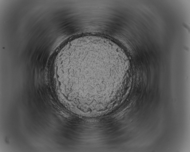 X0000092060878200710101032