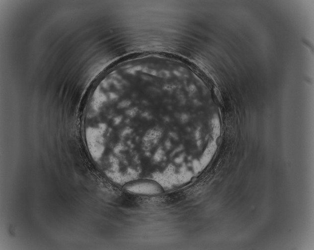 X0000092060879200710101032