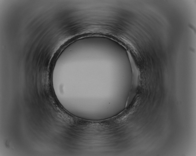 X0000092060880200710101032