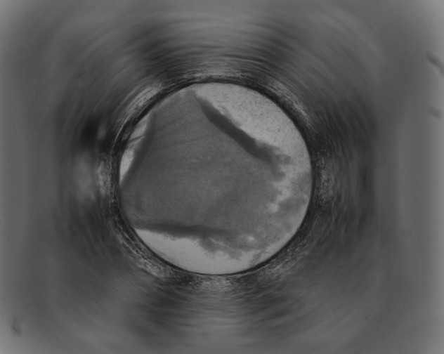 X0000092060882200710101032