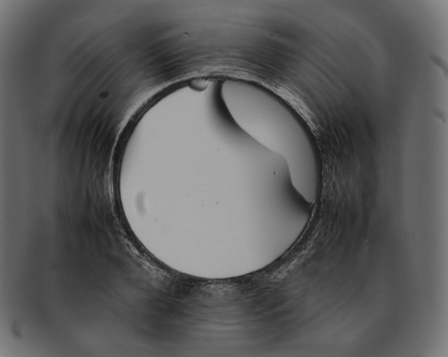 X0000092060888200710101032