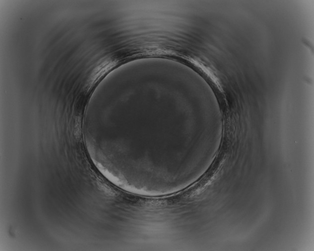 X0000092060889200710101032