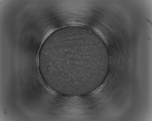 X0000092060891200710101032