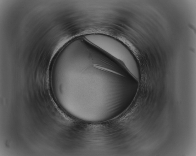 X0000092060894200710101032