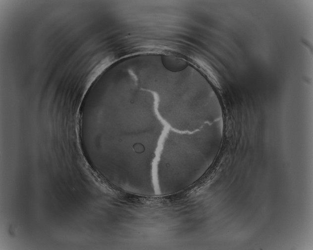 X0000092060899200710101032