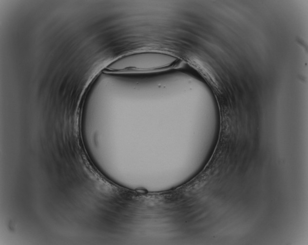 X0000092060900200710101031