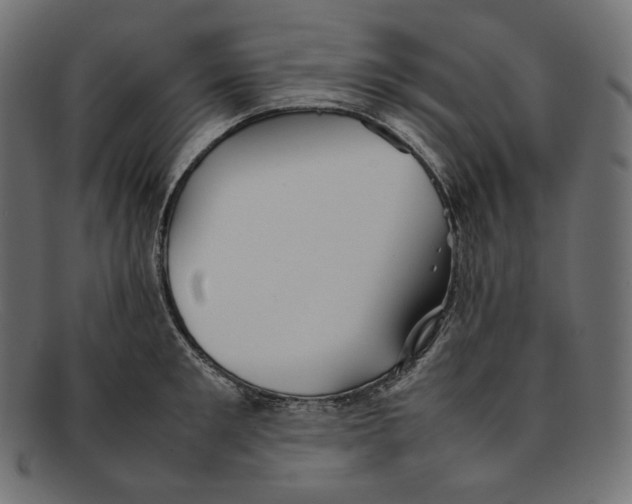 X0000092060901200710101031