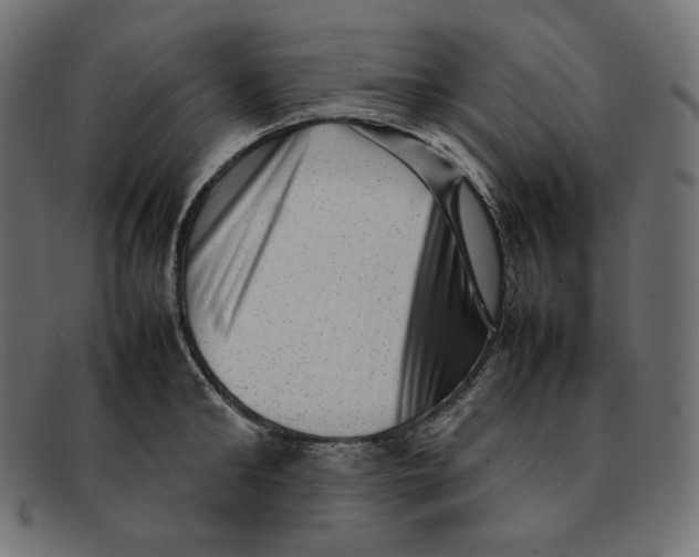 X0000092060902200710101031