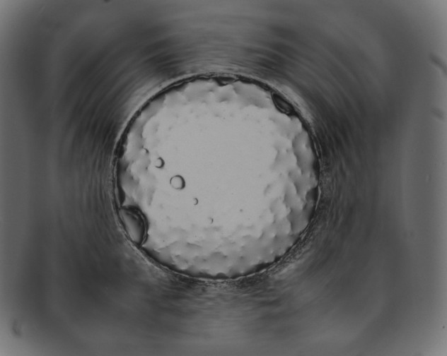 X0000092060903200710101031