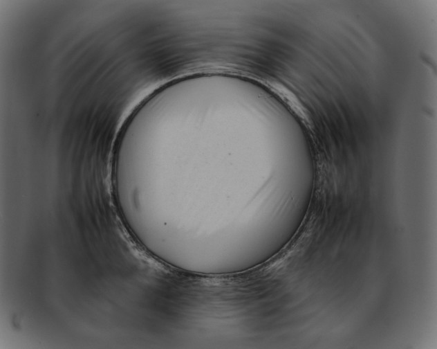 X0000092060904200710101031