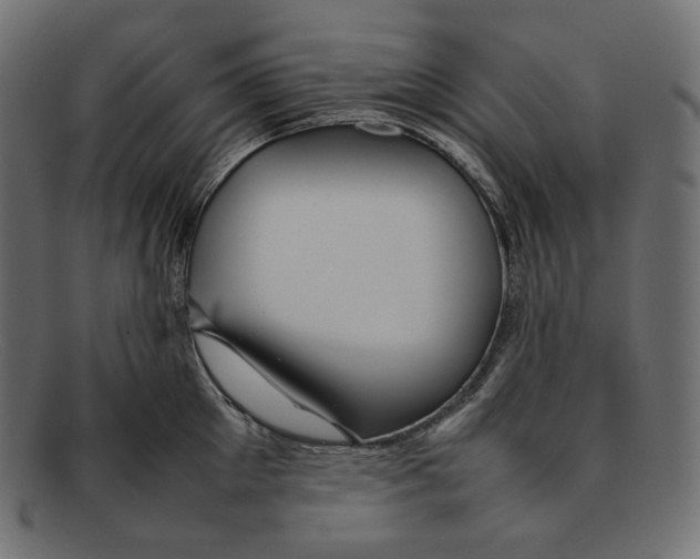 X0000092060905200710101031