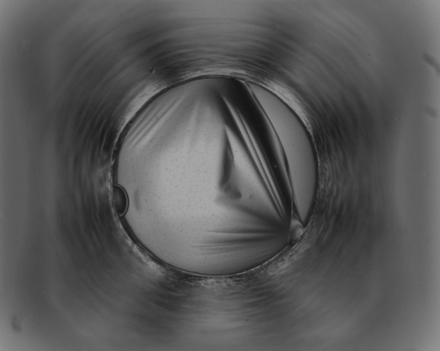 X0000092060906200710101031