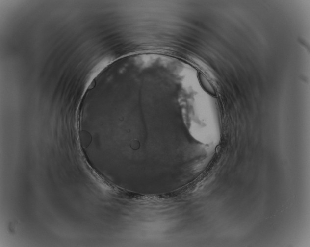 X0000092060907200710101031