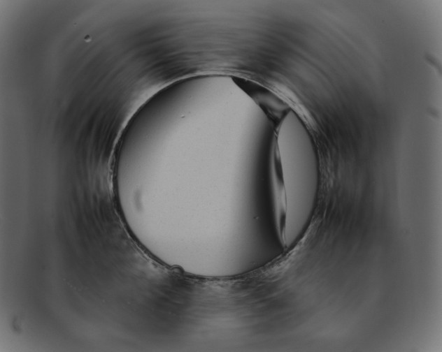 X0000092060908200710101031