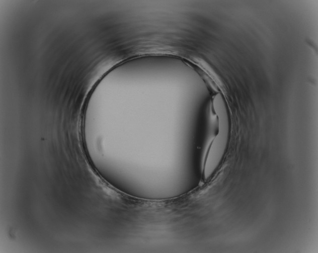 X0000092060909200710101031