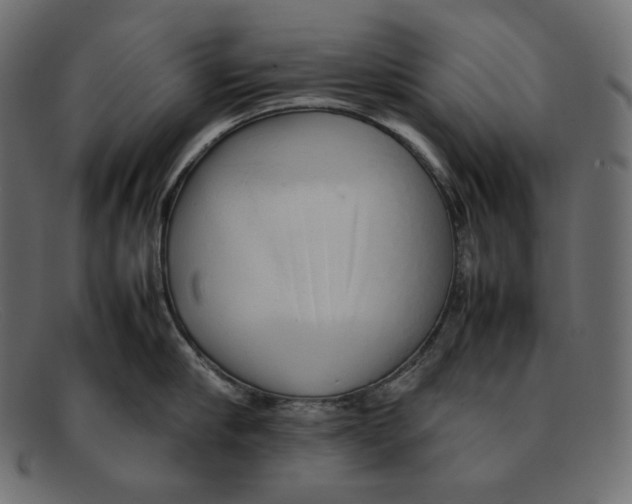 X0000092060910200710101031