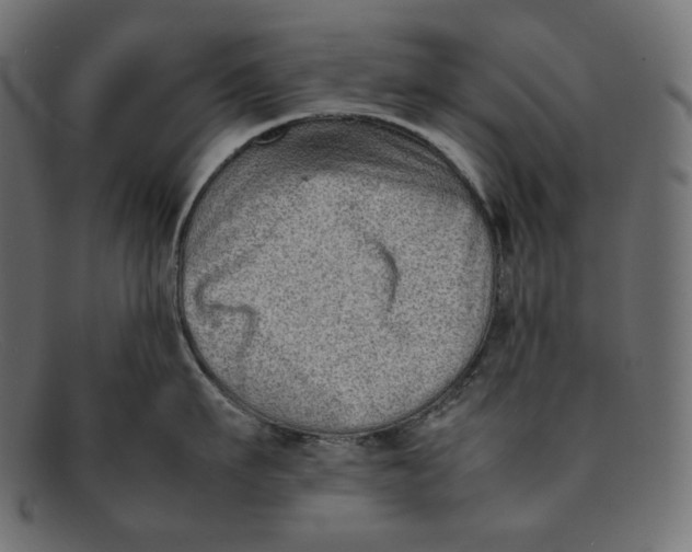 X0000092060911200710101031