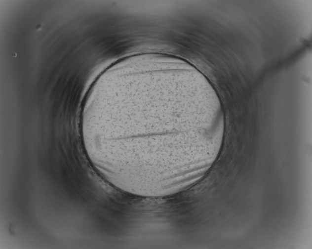 X0000092060912200710101031