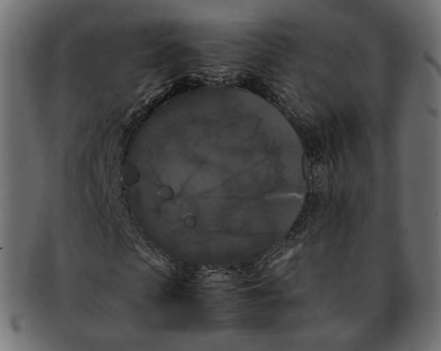 X0000092060913200710101031