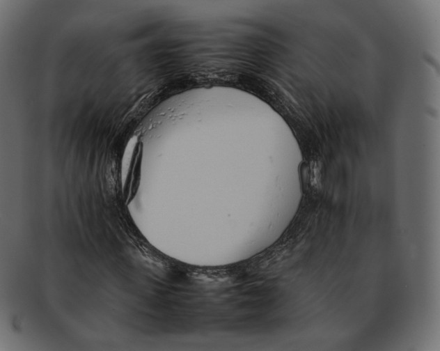 X0000092060915200710101031