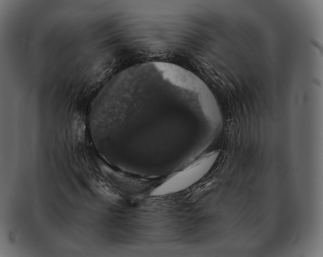 X0000092060916200710101031