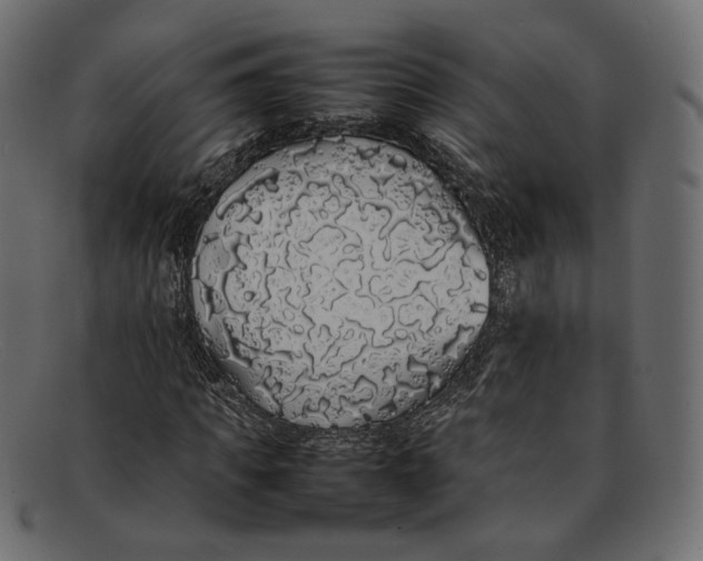 X0000092060917200710101031