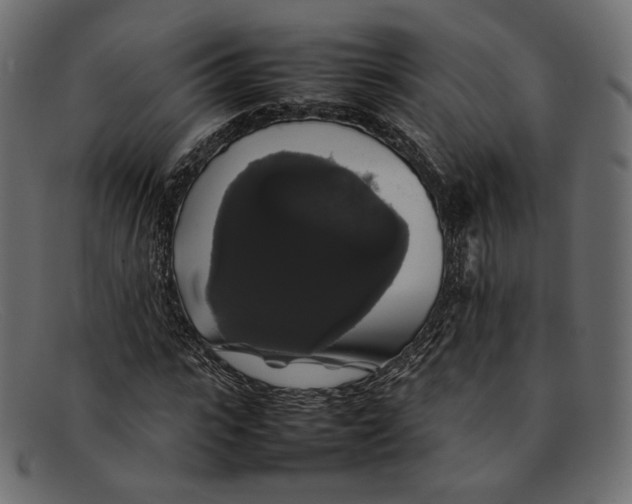 X0000092060919200710101031