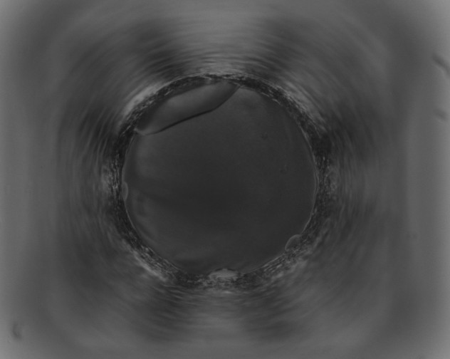 X0000092060920200710101031