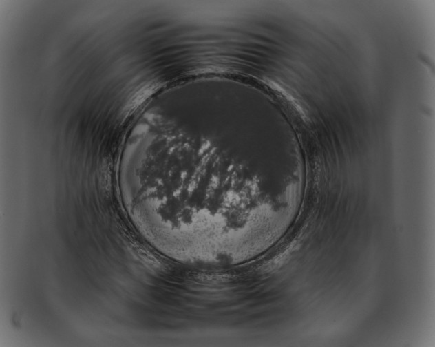 X0000092060921200710101031