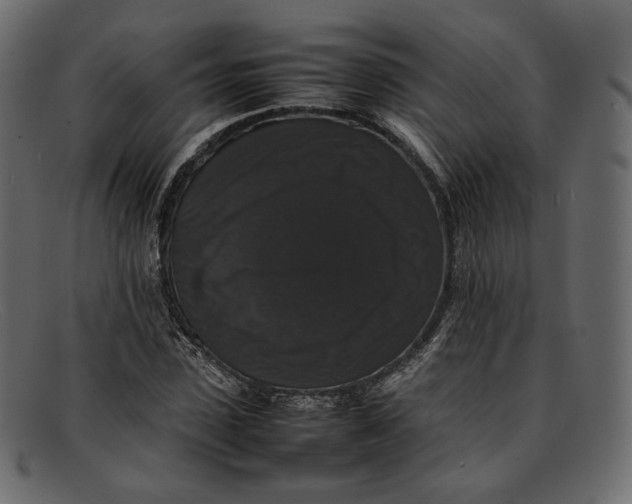 X0000092060923200710101031