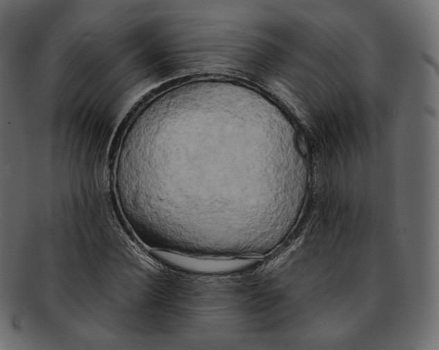 X0000092060924200710101031