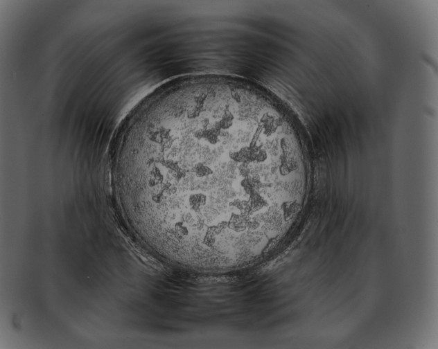 X0000092060925200710101031