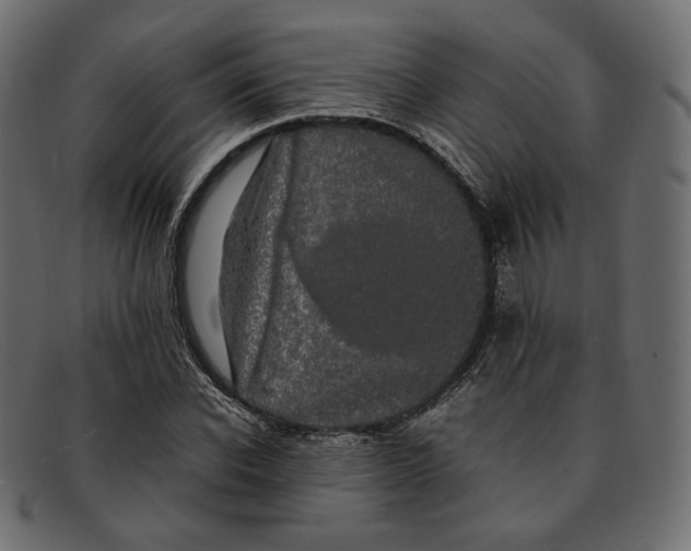 X0000092060926200710101031