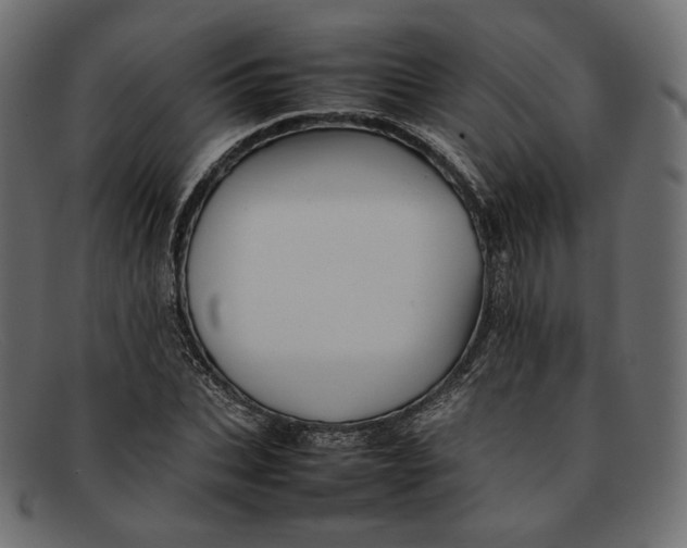 X0000092060927200710101031