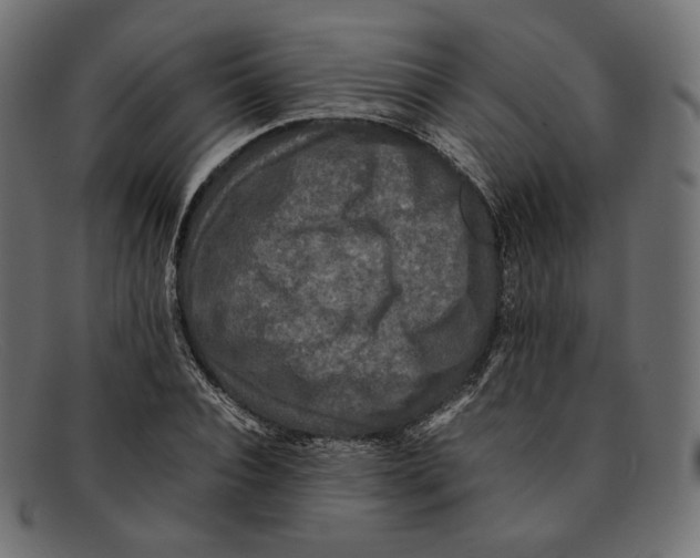 X0000092060928200710101031