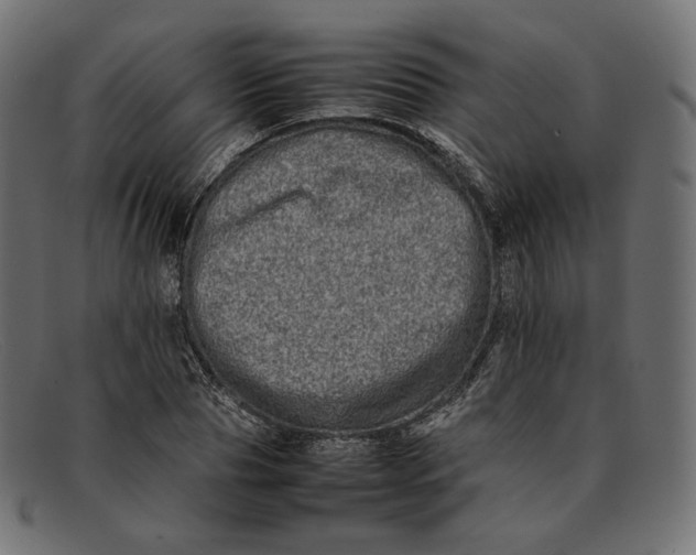 X0000092060929200710101031