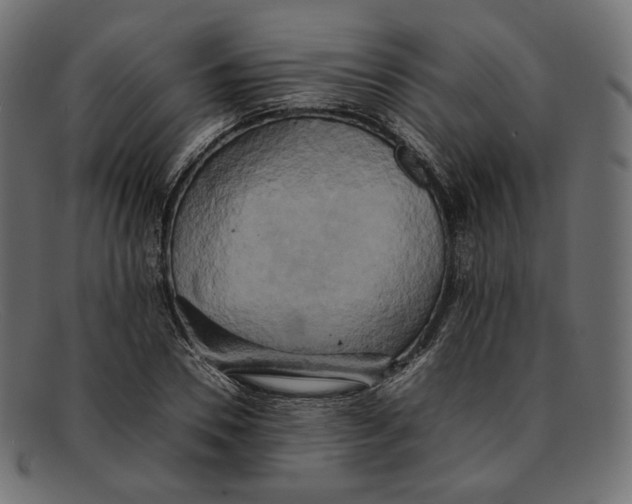 X0000092060930200710101031