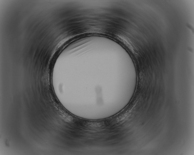 X0000092060931200710101031