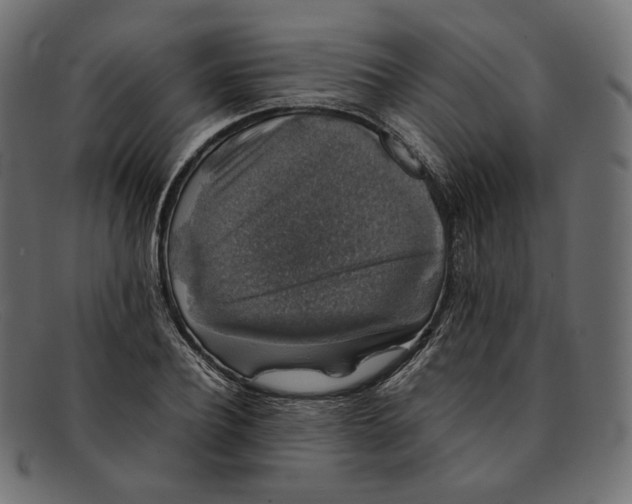 X0000092060932200710101031