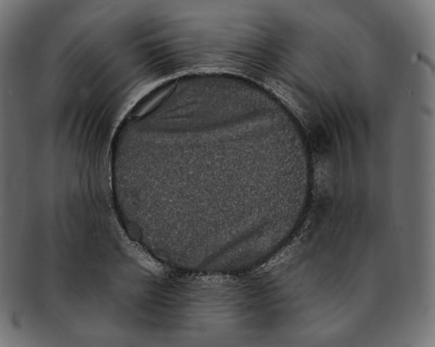 X0000092060934200710101031