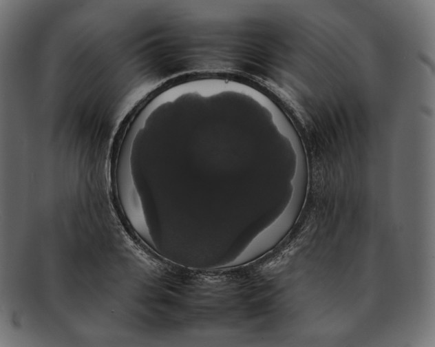 X0000092060935200710101031