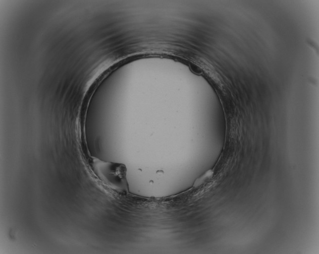 X0000092060936200710101031