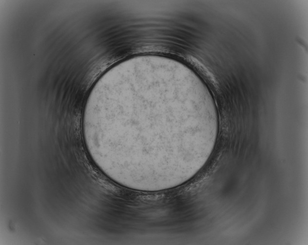 X0000092060937200710101031