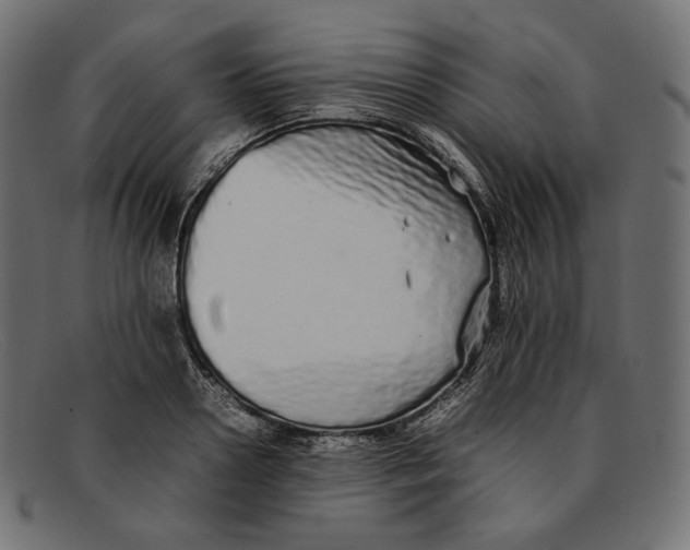 X0000092060938200710101031