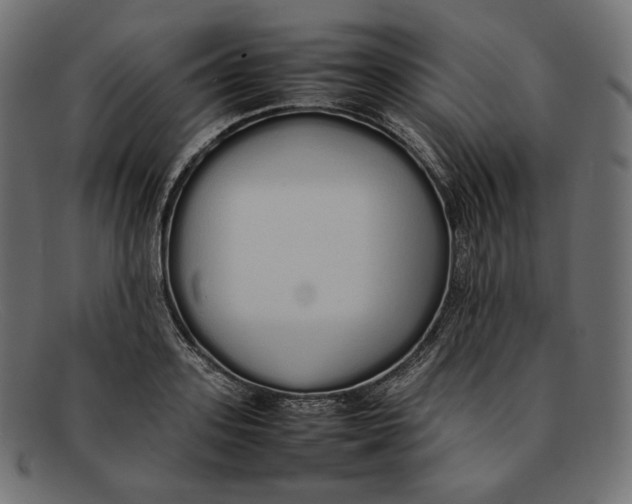 X0000092060939200710101031