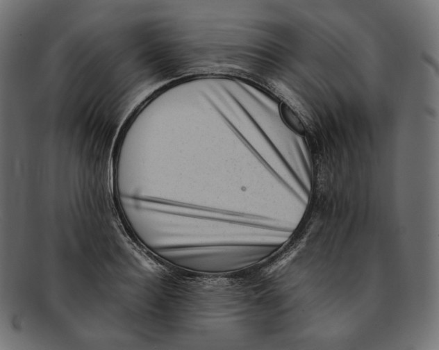 X0000092060940200710101031